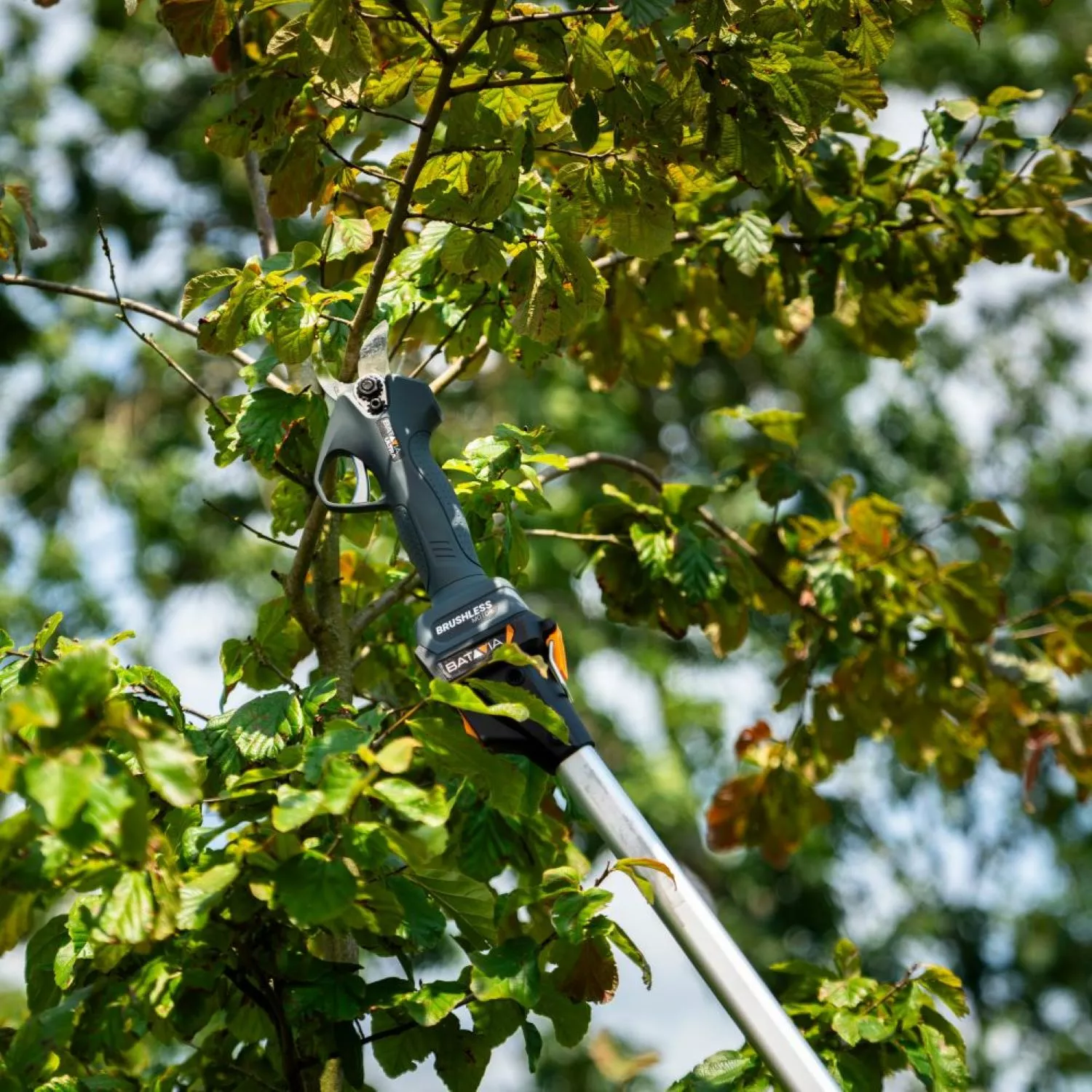 Batavia 7064494 telescopische verlengsteel voor 18V Nexxsaws en takkenschaar - 175 cm