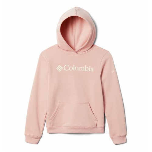 Columbia - COLUMBIA TREK HOODIE - Rose