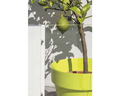 Gedeeltelijk element Vidrio helder glas 103 x 180 cm