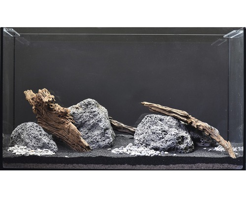 Aquarium waterplantenpakket M 