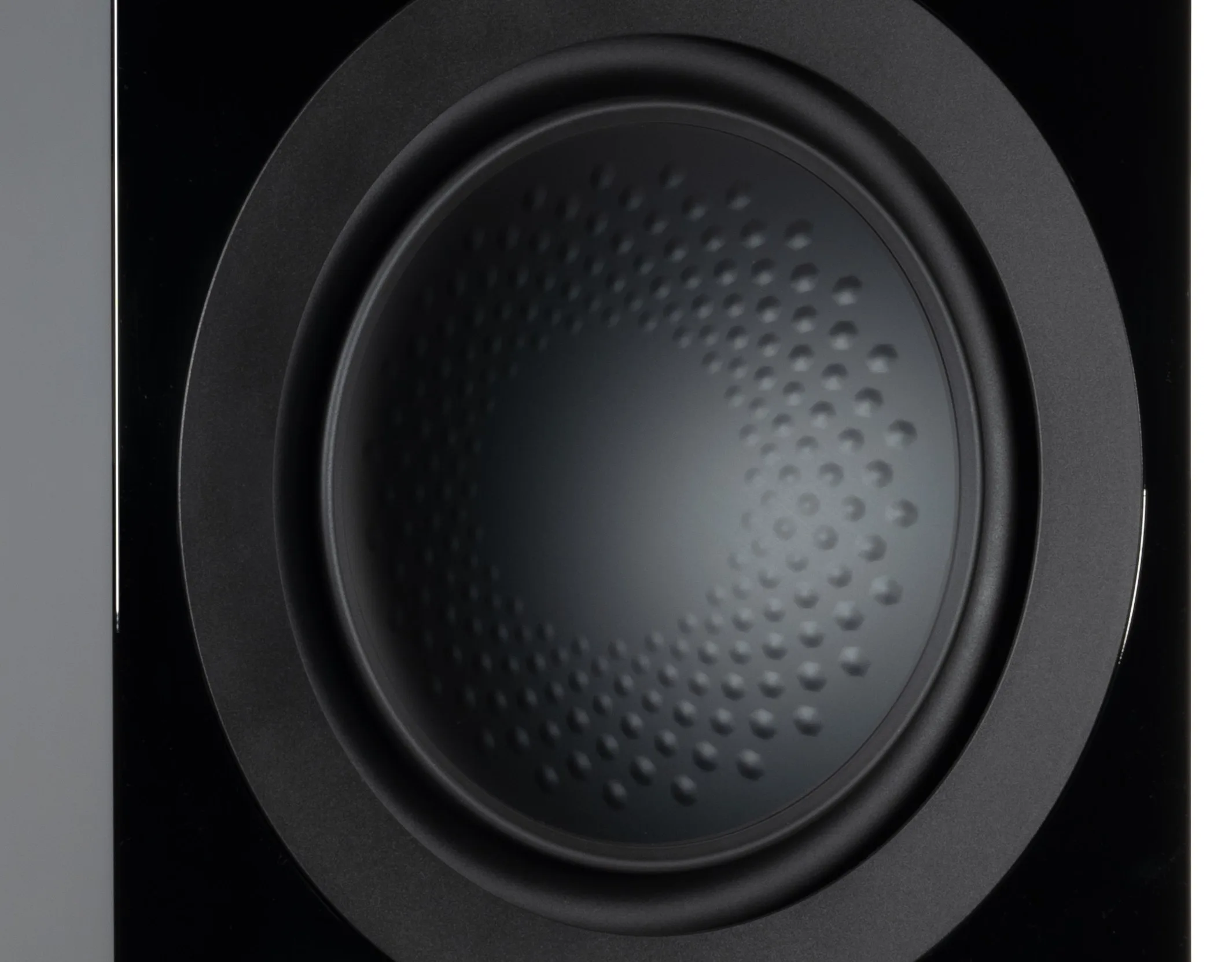 Monitor Audio Anthra W10 Noir laqué Caissons de basses