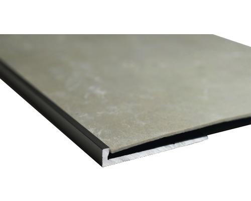 Profielstrip eindkap Slate-Lite F-Line zilver 2,5 m