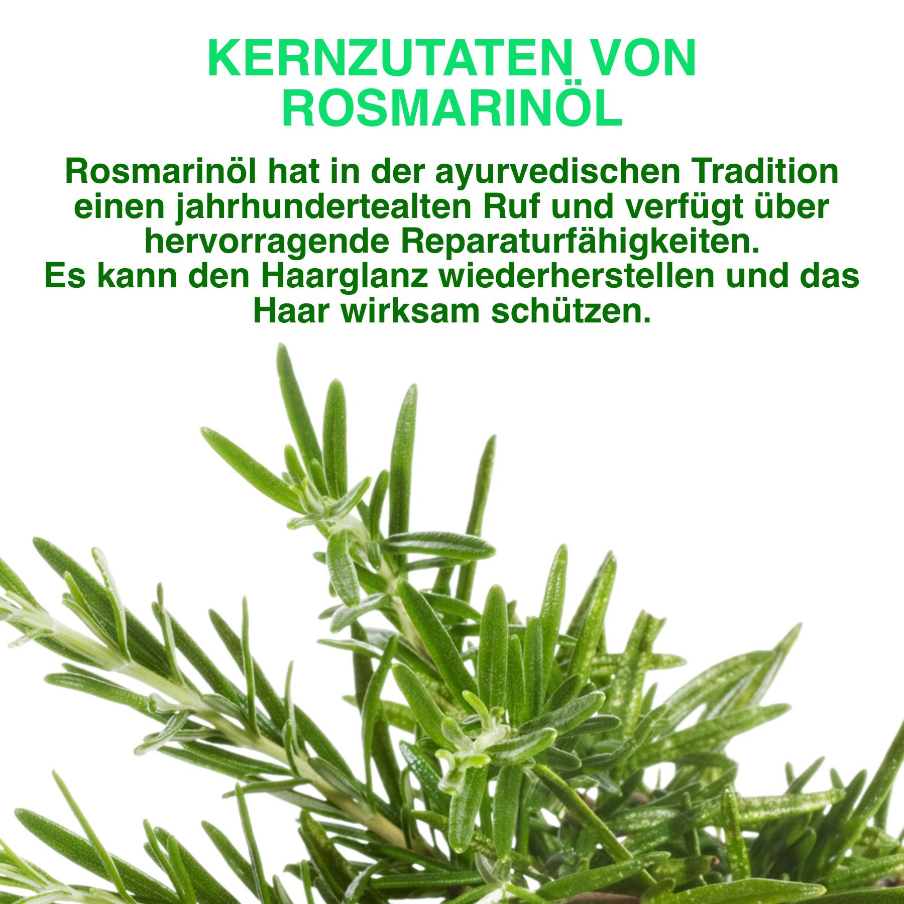 ALIVER Haaröl Rosmarinöl für Haarwachstum in Kapseln