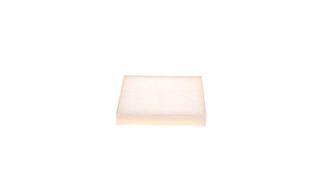 Pollenfilter, Pollenfilter