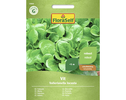 Veldsla Vit FloraZelfbestuivende slazaadjes