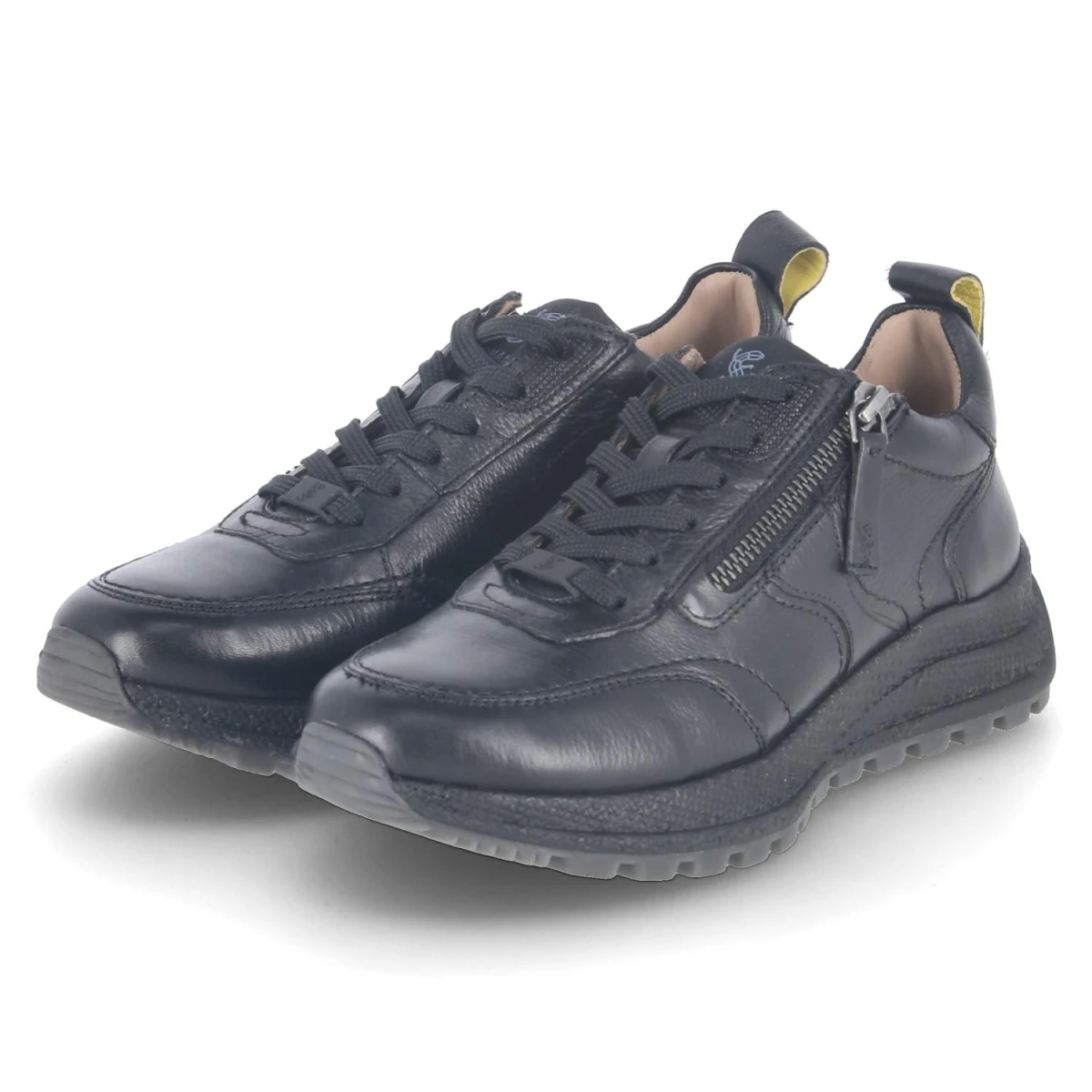 SalamanderLow Sneaker - black