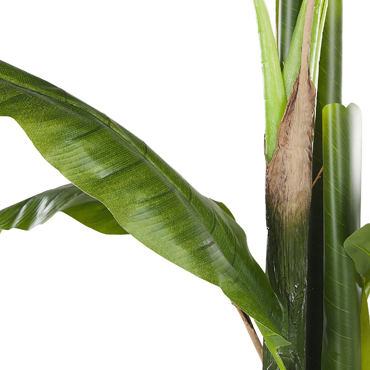 Beliani Plante Artificielle BANANA TREE 154 cm