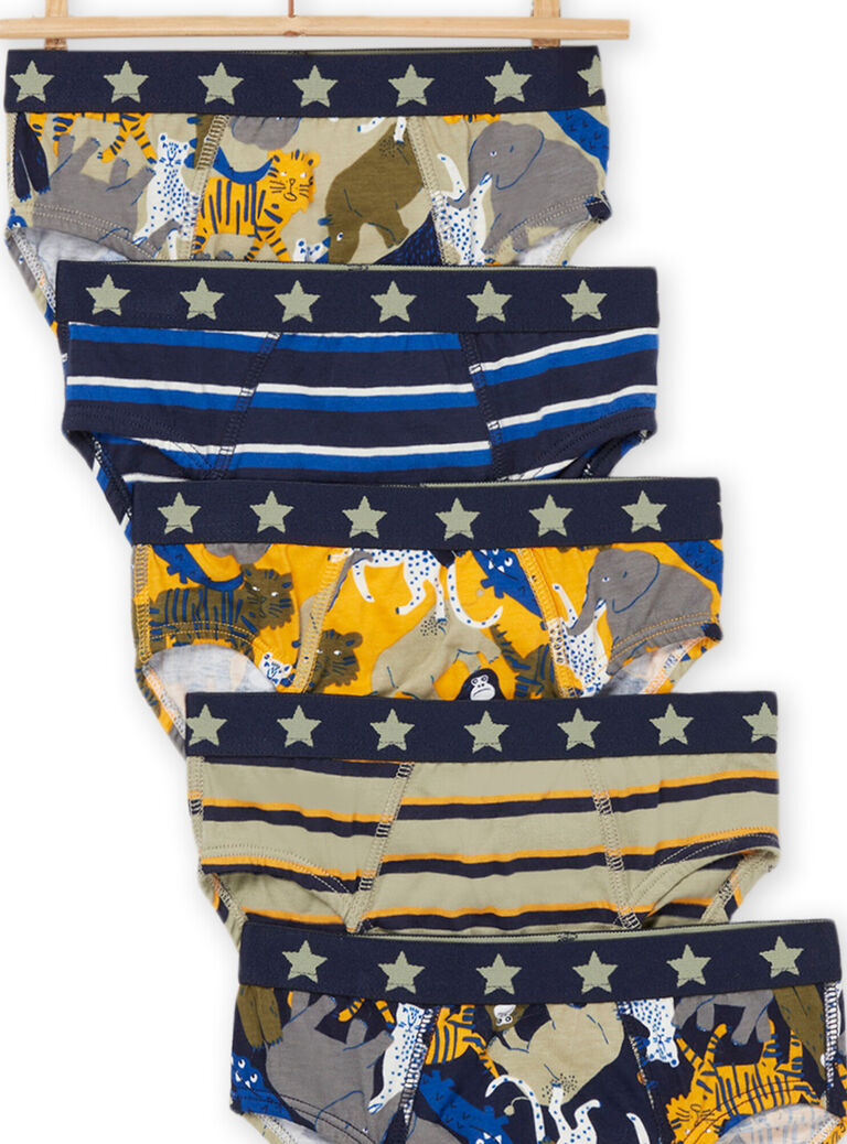 Lot de 5 slips assortis