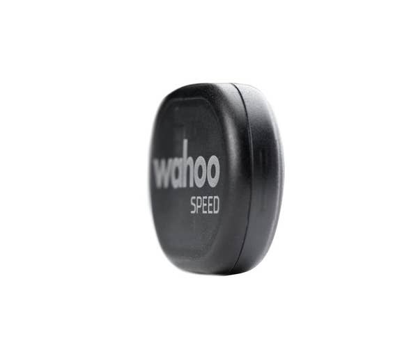 Wahoo