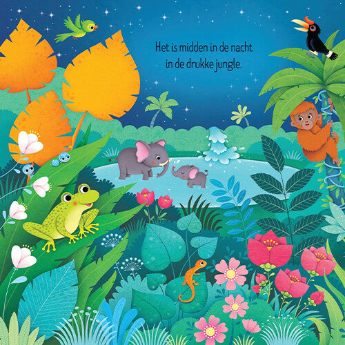 Uitgeverij usborne geluidenboek geluiden in de jungle
