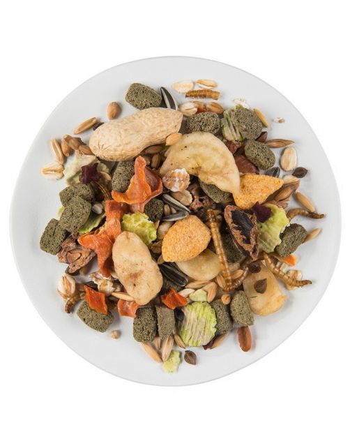 Witte Molen Puur Rat - Rattenvoer - 800 g