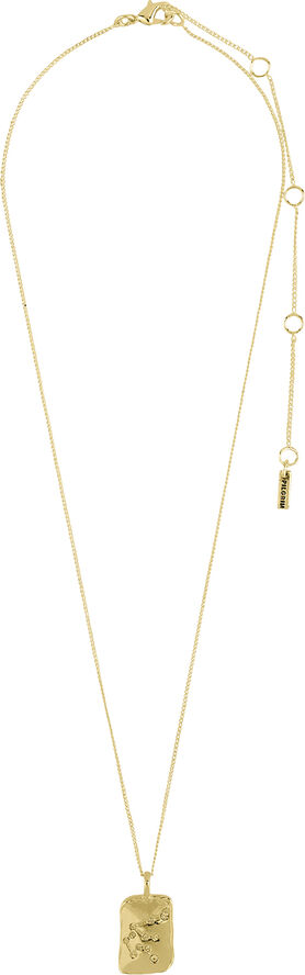 Pilgrim AQUARIUS recycled Zodiac Sign necklace, gold-plated Guld