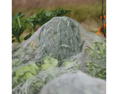 My Harvest Gewasbeschermingsnet 4 x 2 m UV-gestabiliseerd PE Gewicht ca. 65 g/m² Maaswijdte 0,8 x 0,8 mm transparant