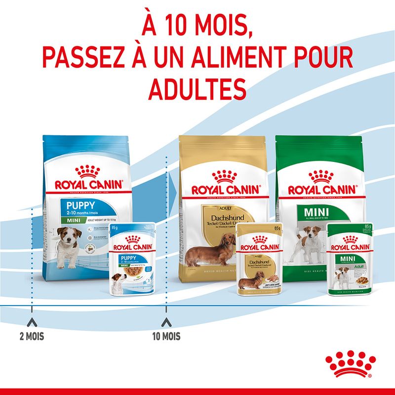 Royal Canin Mini Puppy en sauce