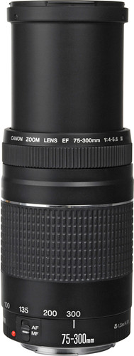 Canon EF 75-300mm f/4.0-5.6 III