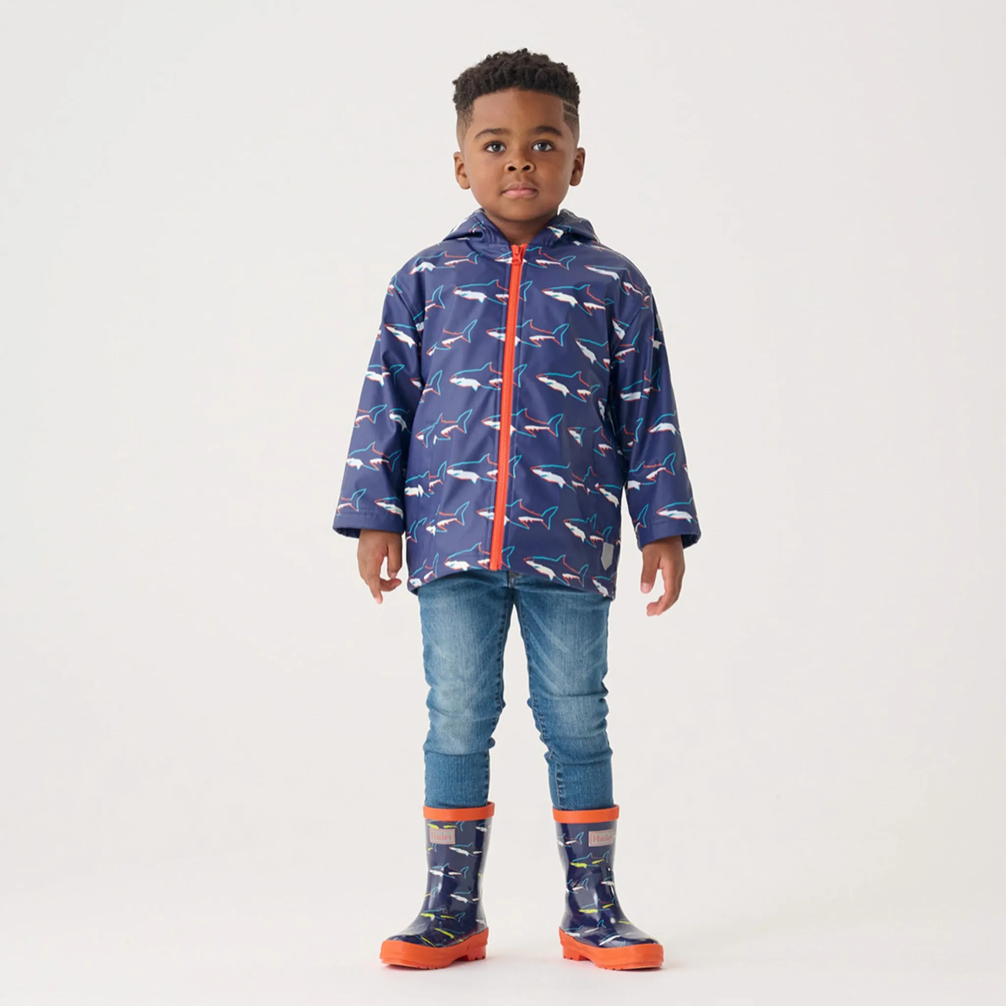 Hatley Botte de Pluie Requins Pointures 5-2
