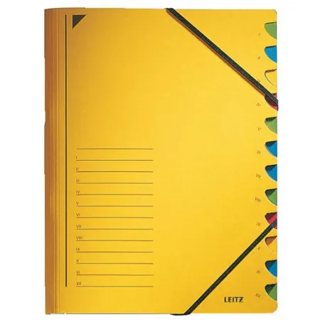 Leitz 39120015 Ordnungsmappe A4