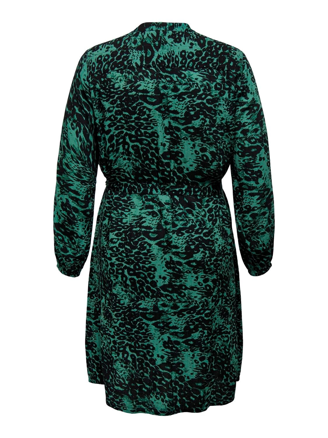 CAROTTELIA Langes Kleid Bayberry