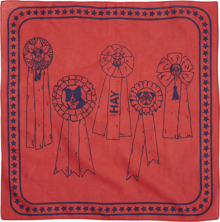 Hay HAY Dogs Scarf-55 x 55-Red