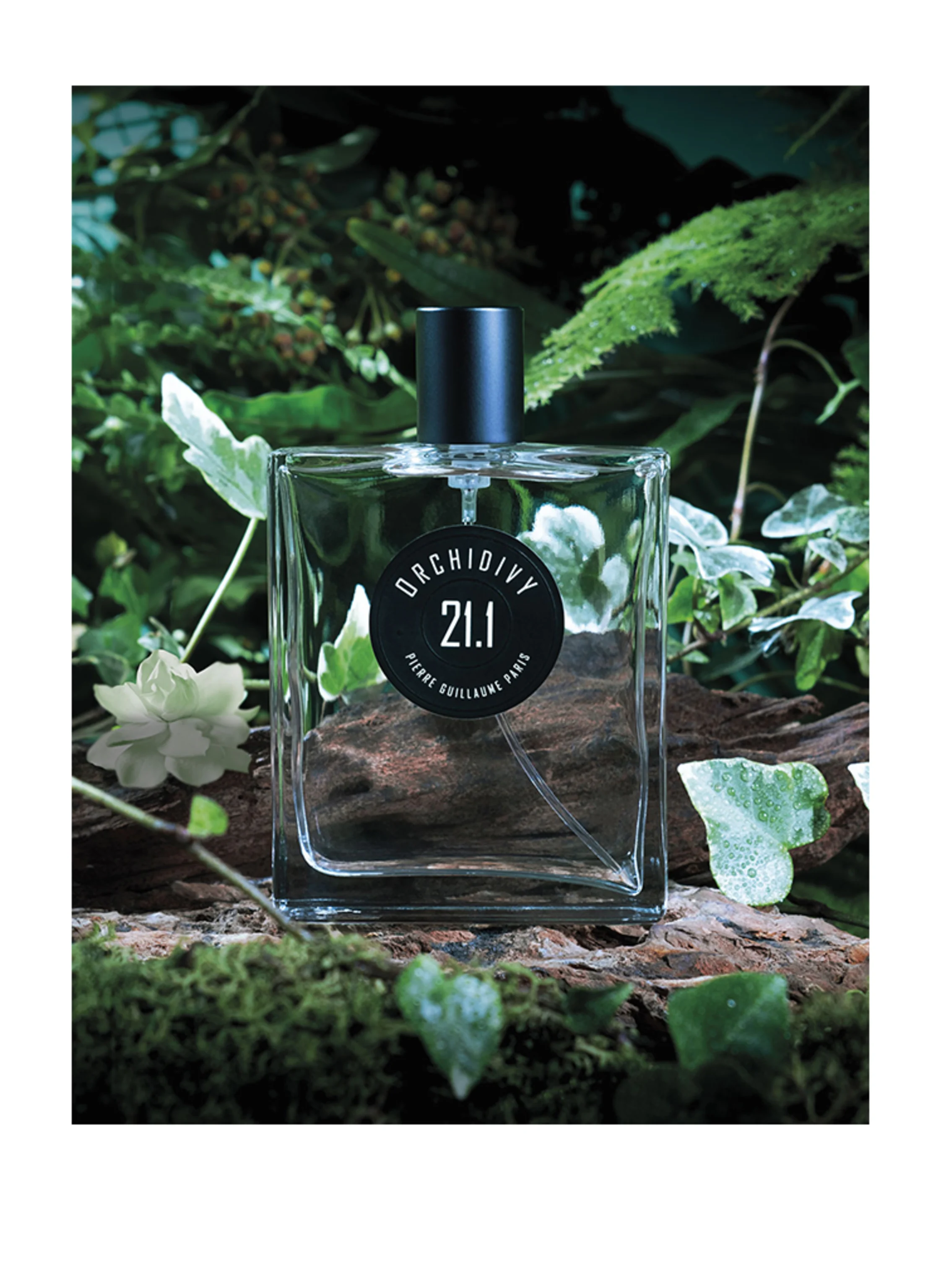 Pierre Guillaume Paris 21.1 ORCHIDIVY
