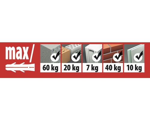 Tox Deco 6/41 universele deuvels in ronde doos, 100 stuks