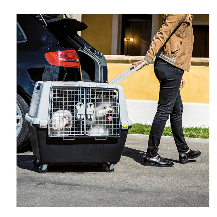 Transportador para cães Stefanplast Gulliver Touring