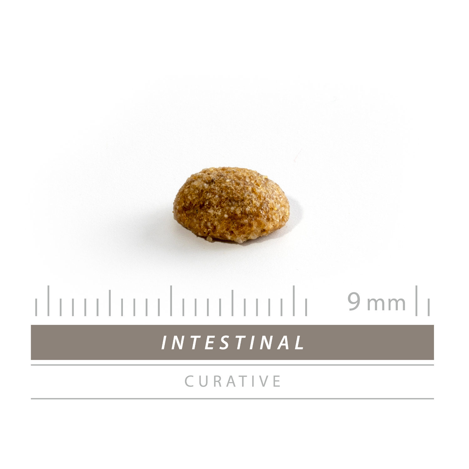 SANIMED Intestinal Cat