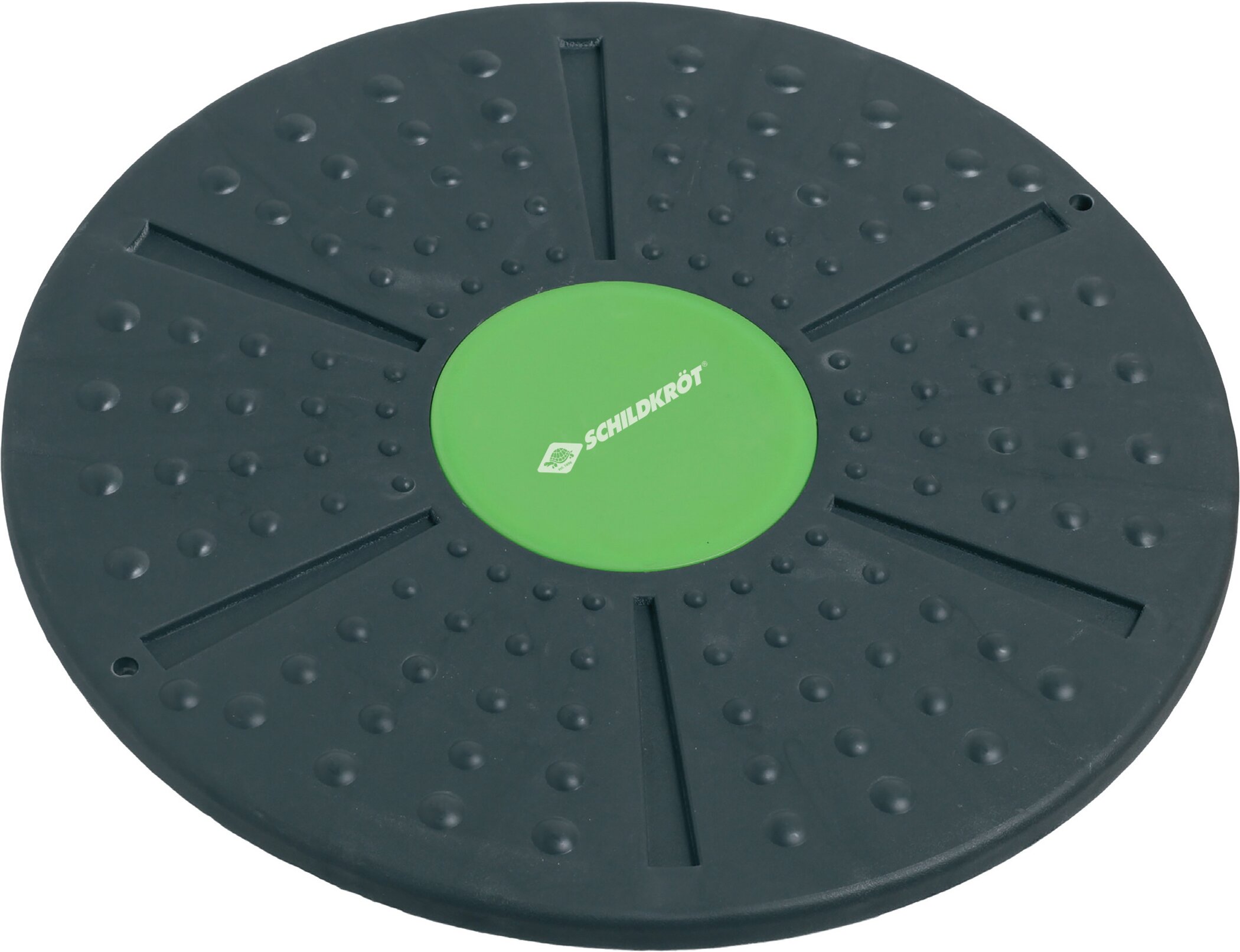 Schildkröt Balance Board