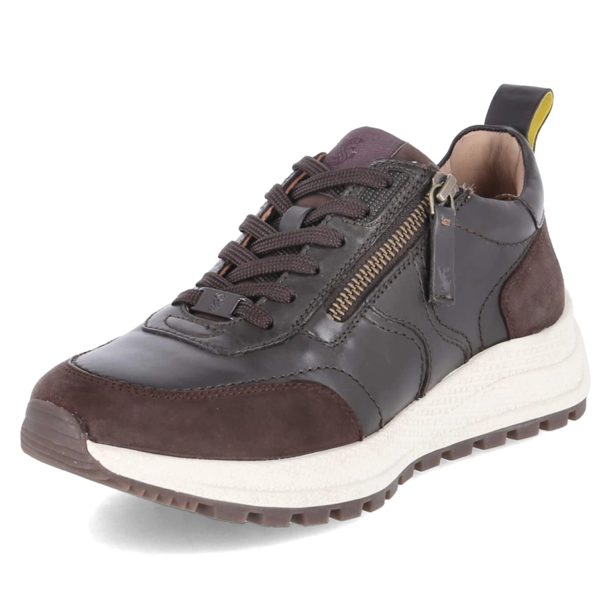SalamanderLow Sneaker - dark brown / brown