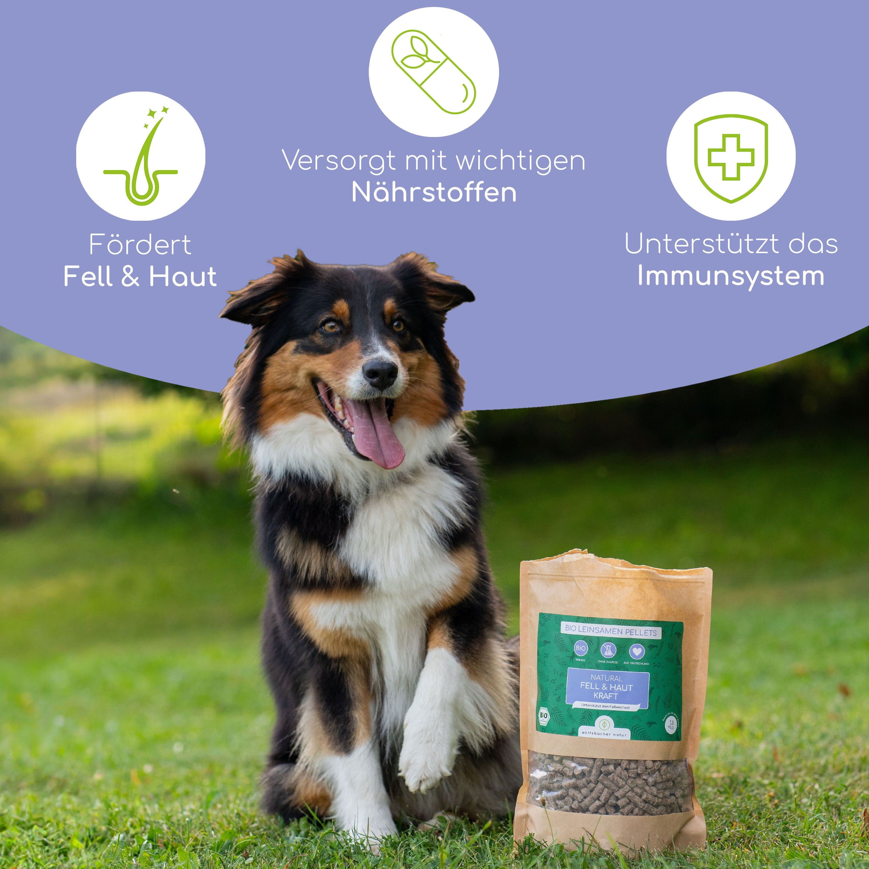 Wolfsbacher Natur Bio Leinsamen Pellets