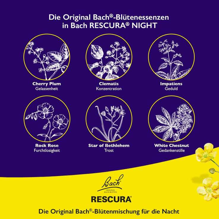 Bachblüten Original Rescura Night Kids Tropfen alkoholfrei , 10 ml