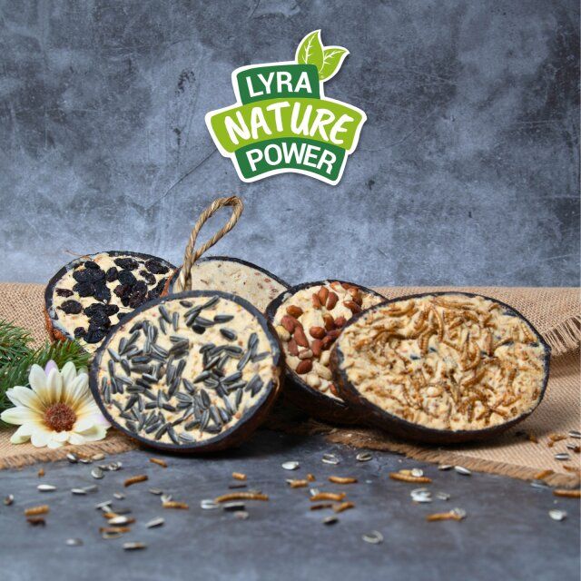 Lyra Pet® Halbe Kokosnuss gefüllt mit Topping