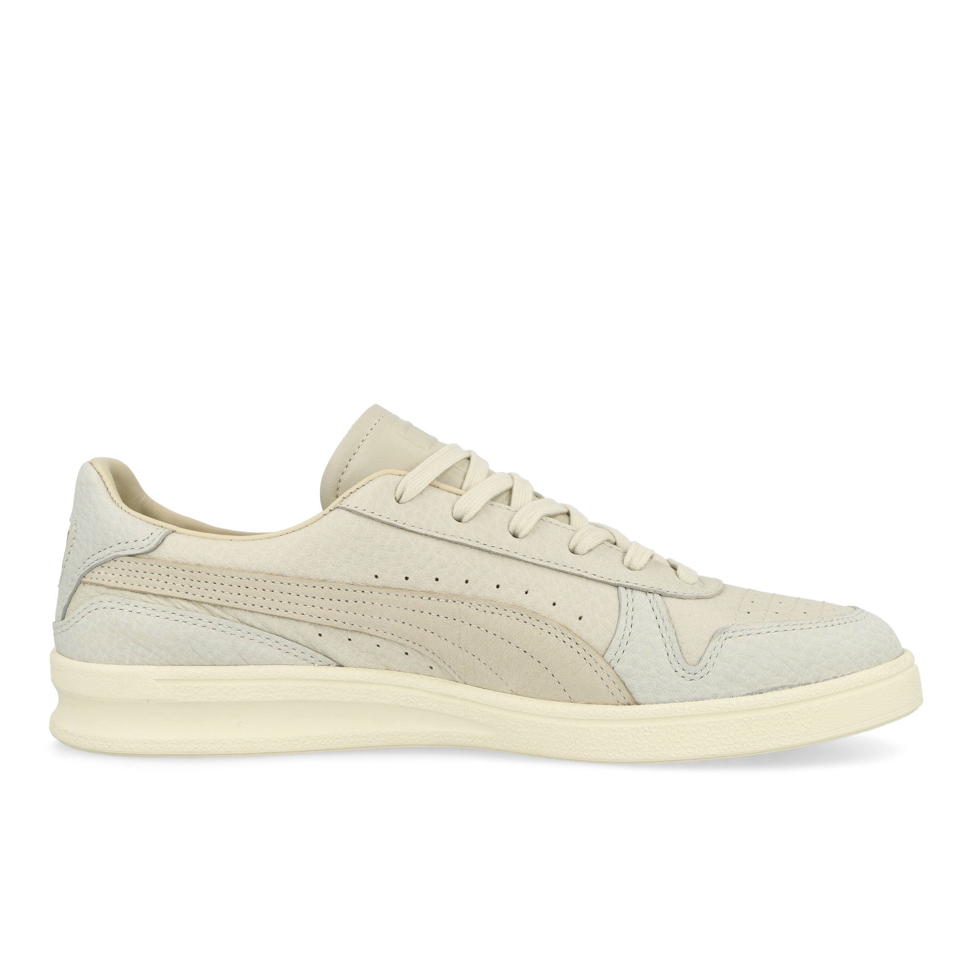 Puma<br>Indoor MII