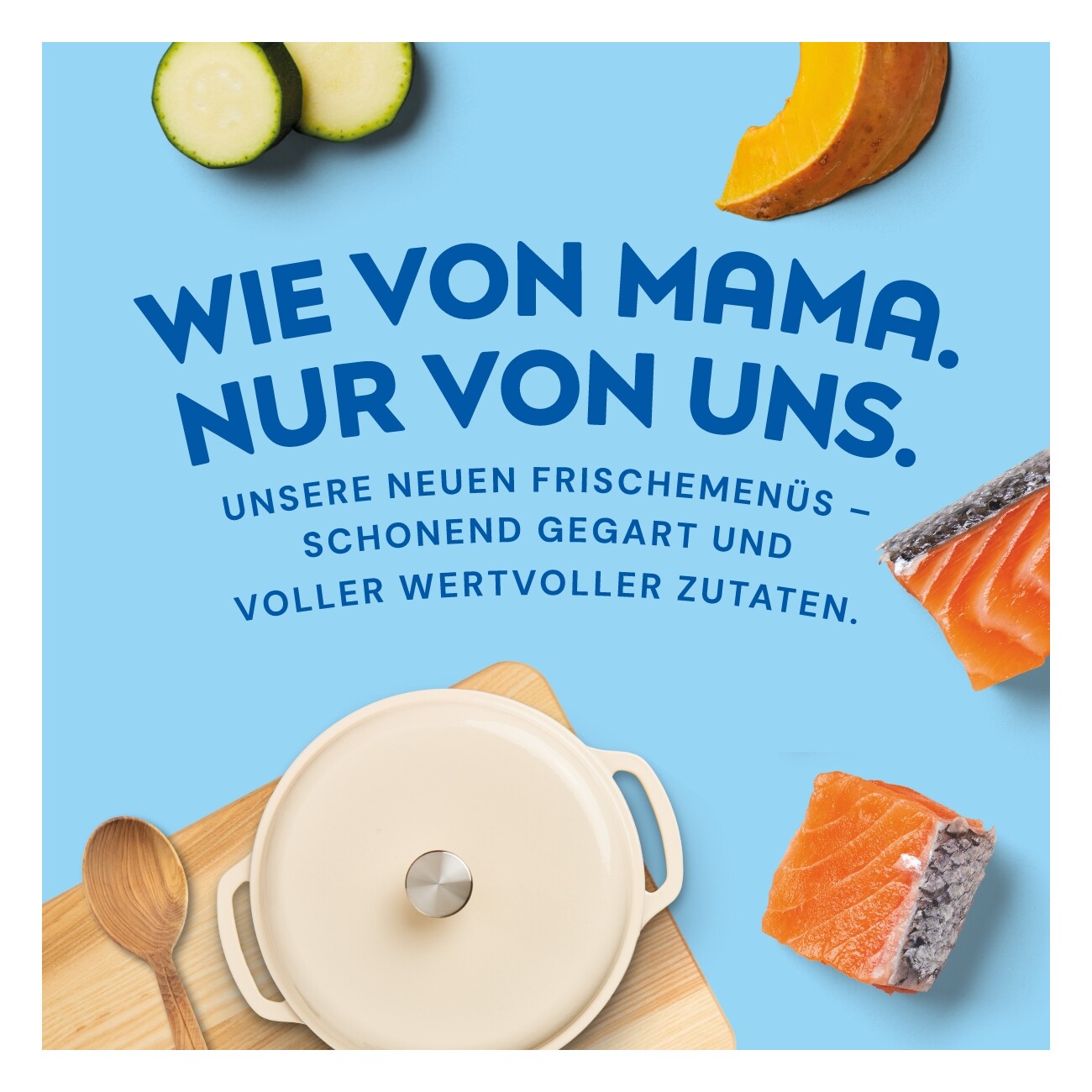 Nutriment Medaillons Lachs Probierpaket 5x800g