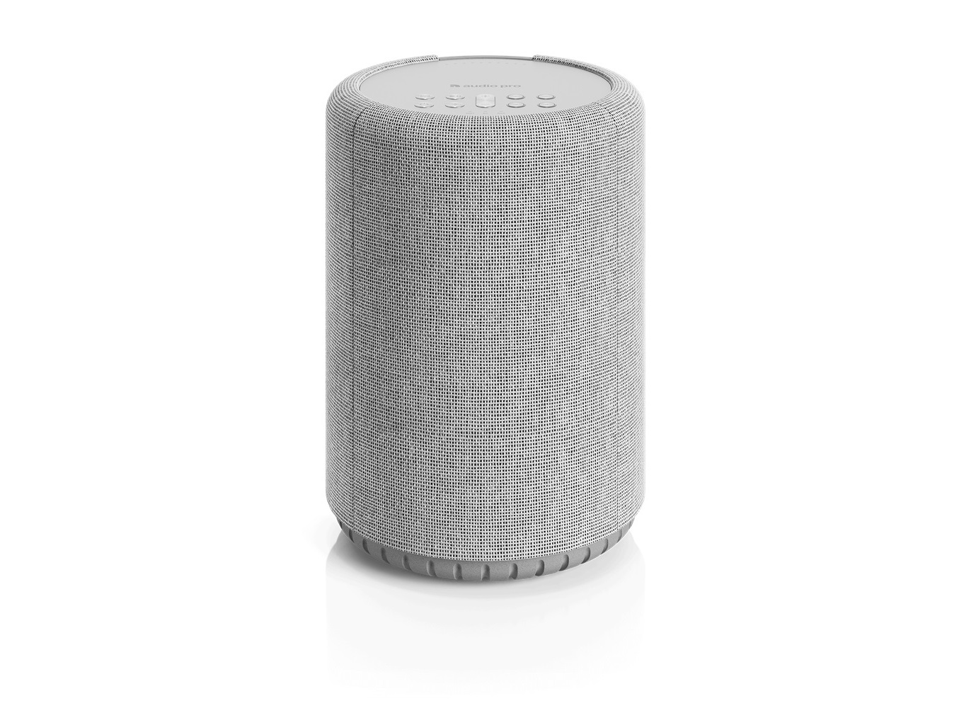 COLUNA A10 MKII AUDIO PRO AP15281 CINZA CLARO