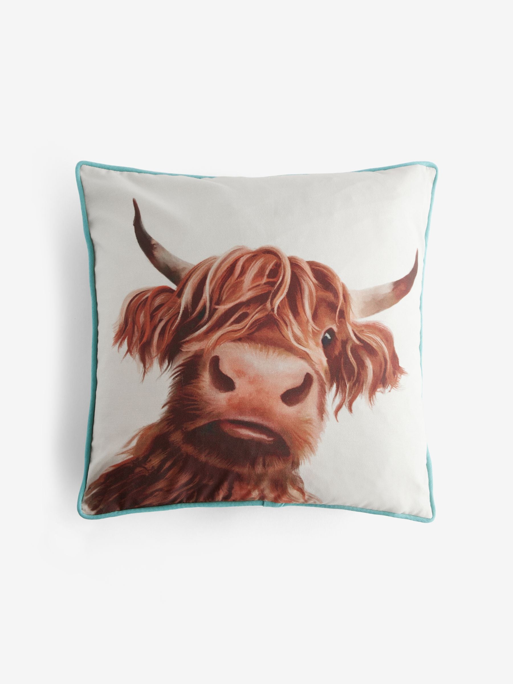 Hamish the Highland Cow Selfie Cushion