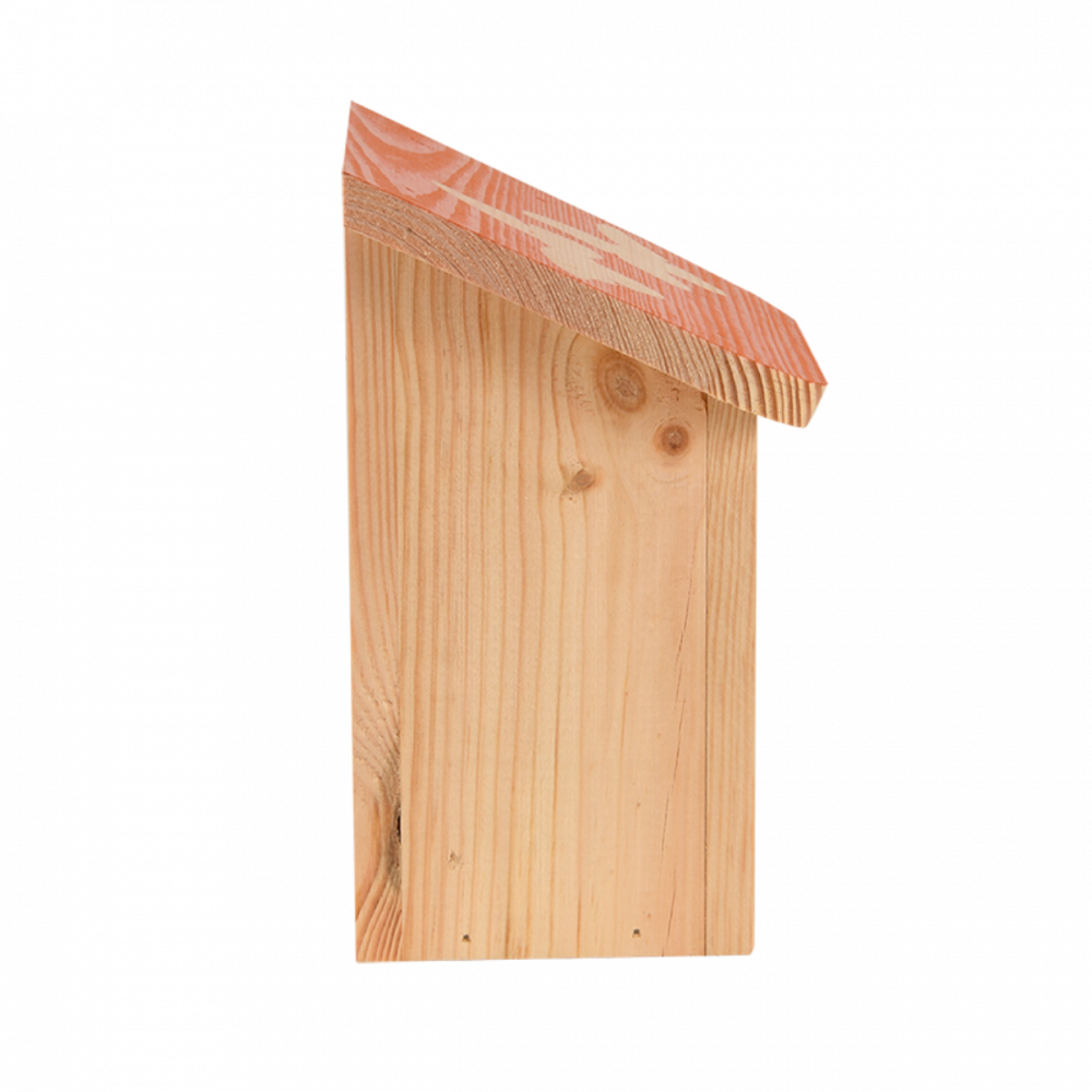 Maison à papillons, avec toit coloré avec silhouette papillon.