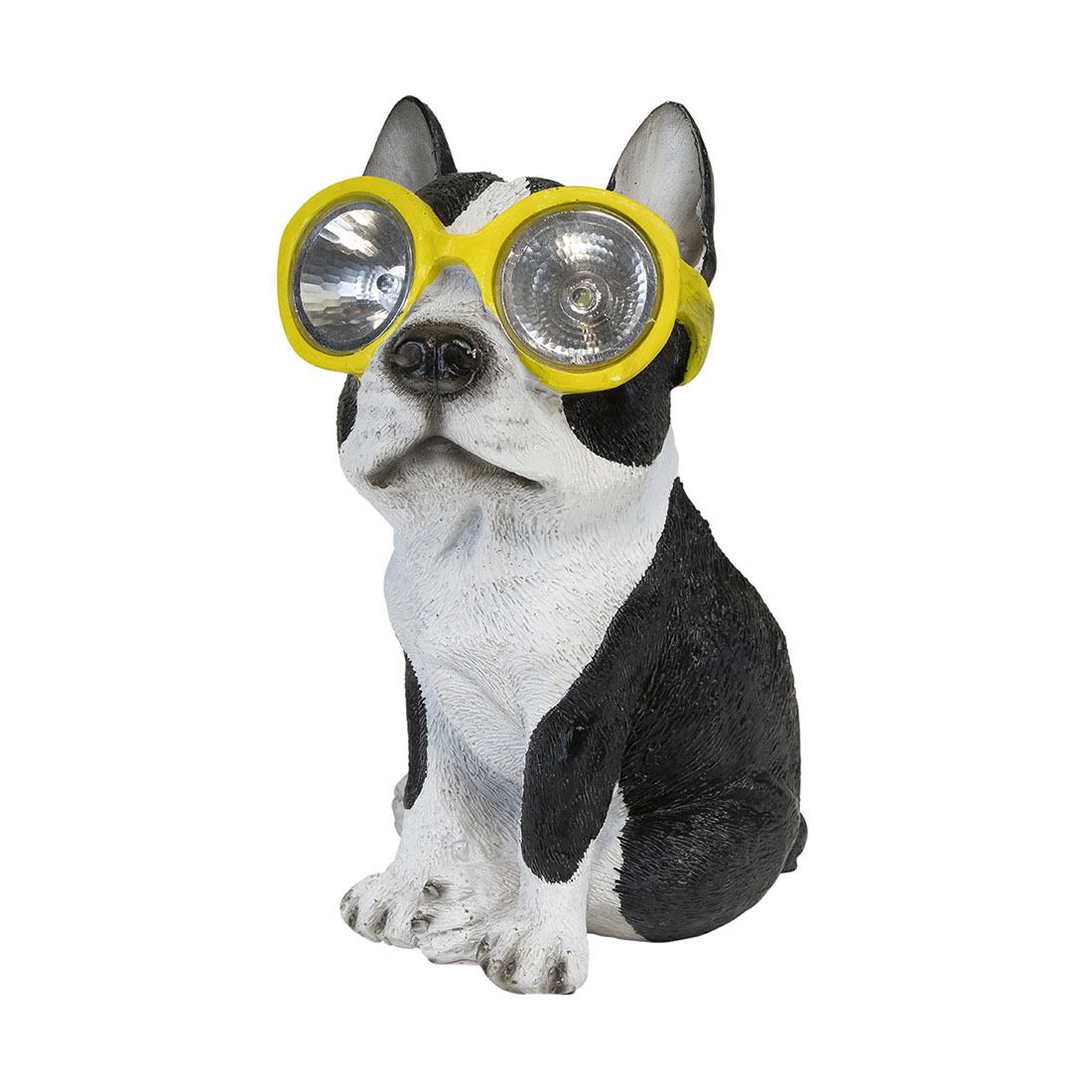Hund med solarlys Kira
