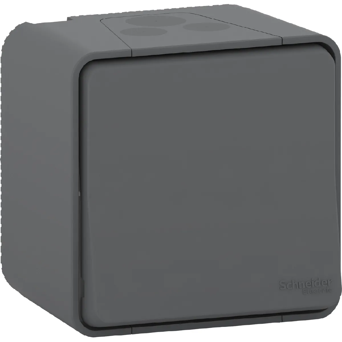 SCHNEIDER ELECTRIC Mureva Bouton Poussoir Gris