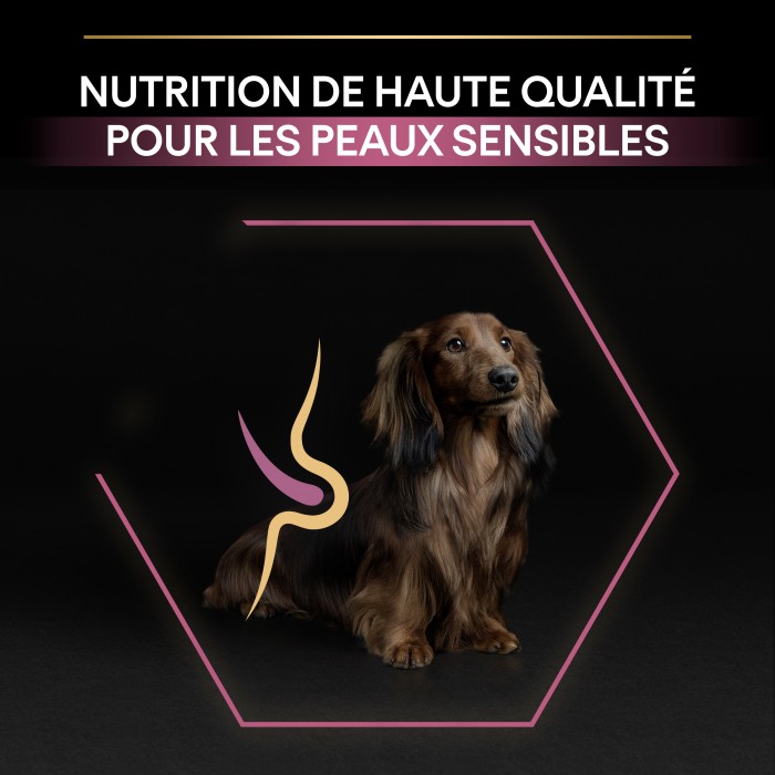 PRO PLAN Sensitive Skin Small & Mini Adult au Saumon - Croquettes pour chien