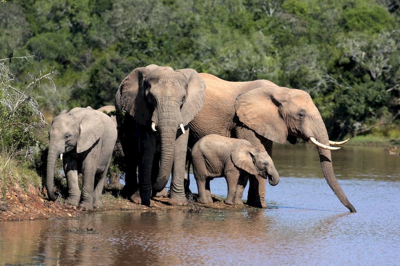 13 dagen Garden Route in Zuid-Afrika
