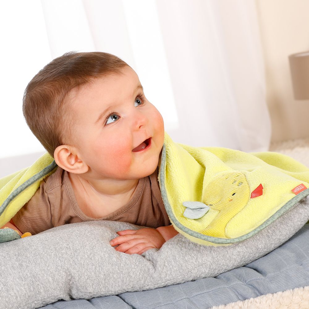 Kuscheldecke DINO