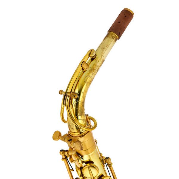 Forestone Alto Sax RX Unlacquered