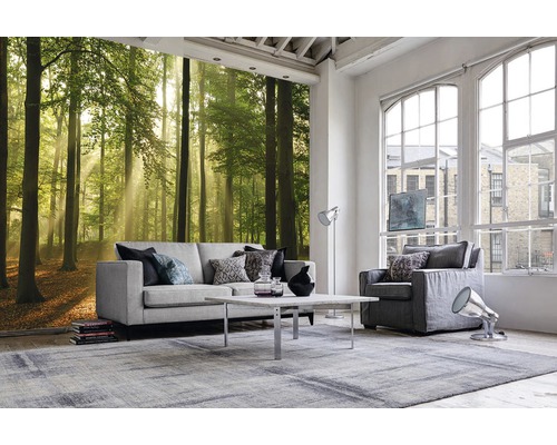Fotobehang vliesbehang 18295 Bos in de ochtend 7 stuks. 350x260cm