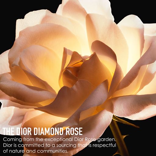 Dior Prestige Le Nectar Premier Serum, 30 ml