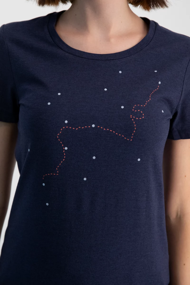 icebreaker Merino Central Classic Tour Mont Blanc Damen T-Shirt