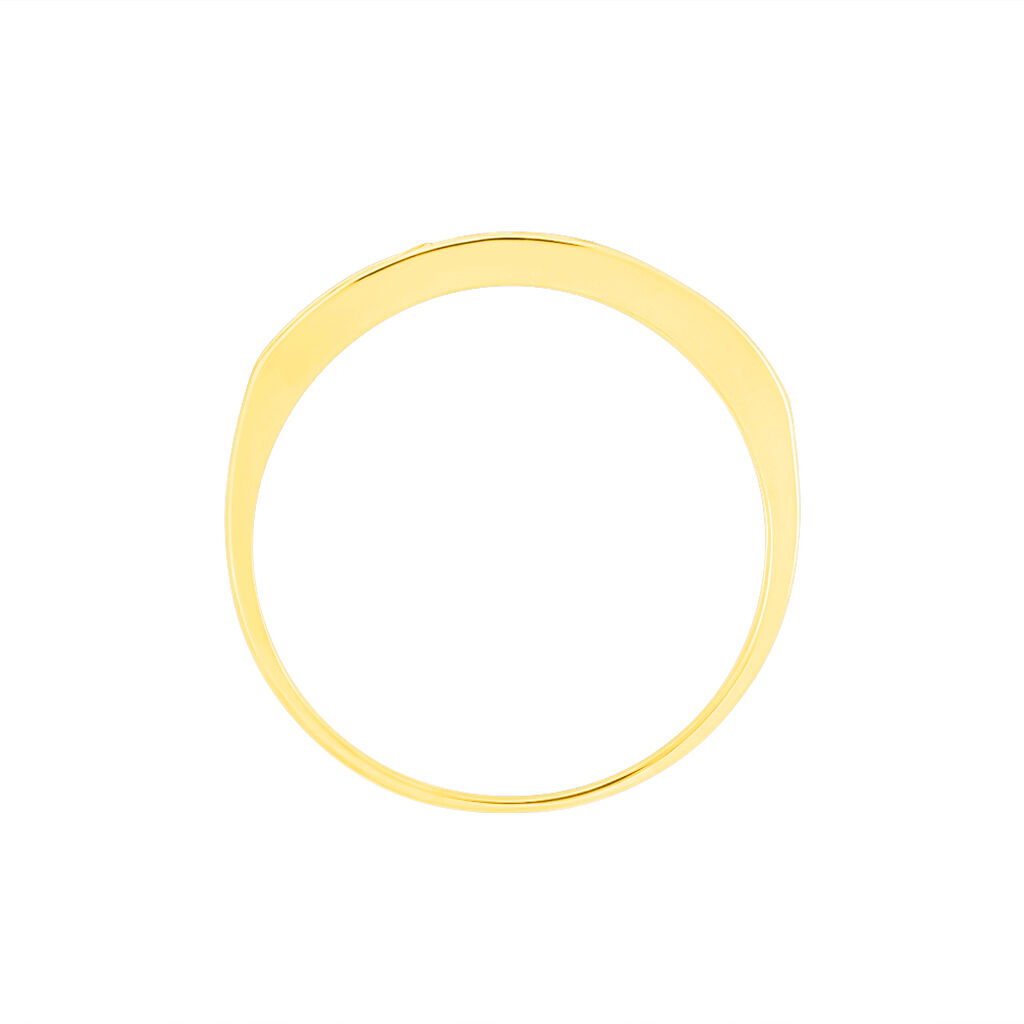 Alliance Davila Or Jaune Oxyde De Zirconium