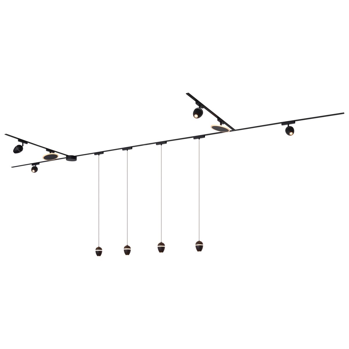 Railsysteem met 10 lampen zwart 1-fase - Magnetic Eggy Puk