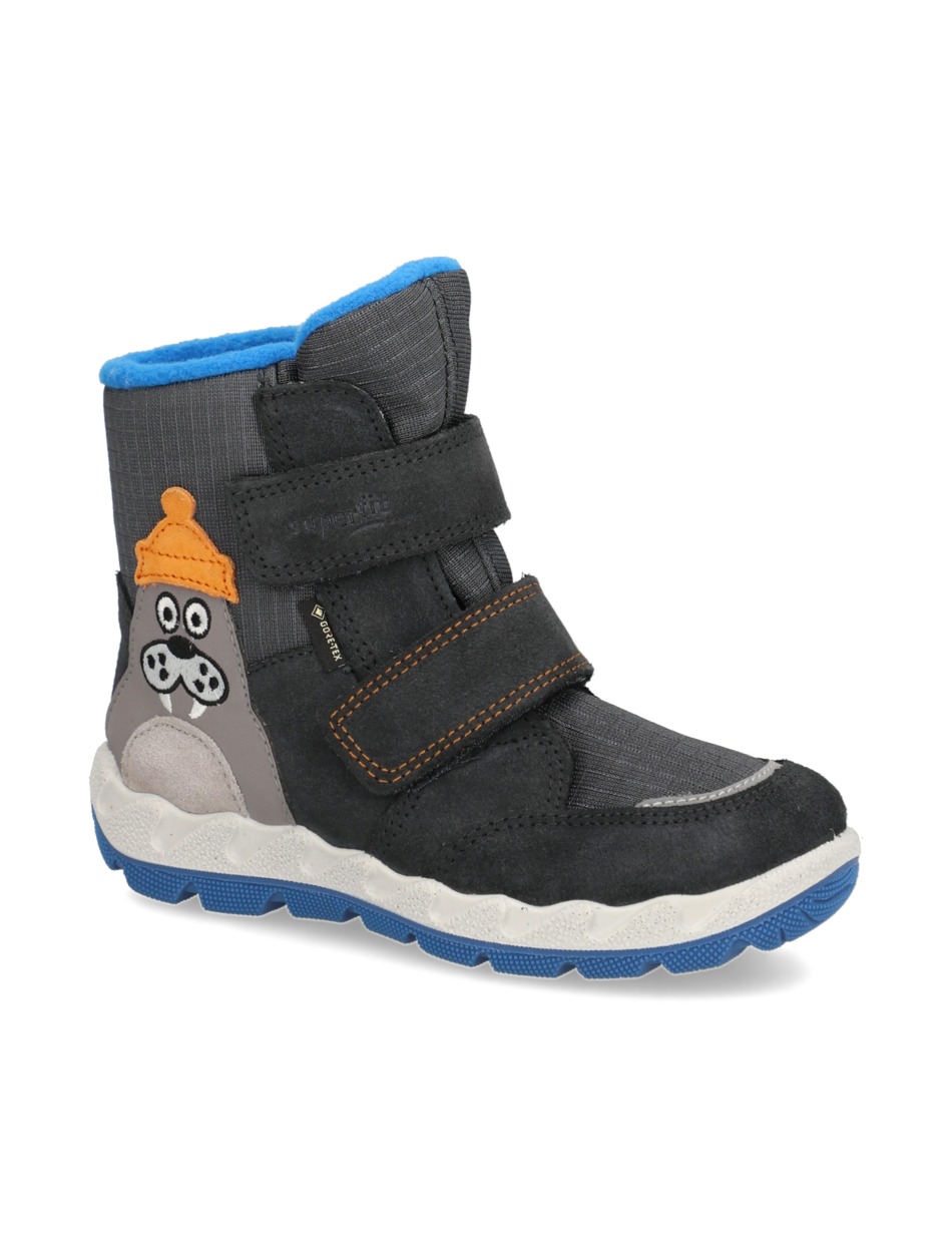 ICEBIRD