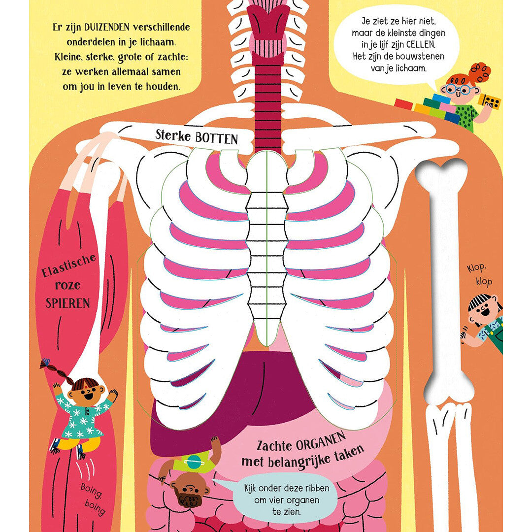 Usborne maak kennis met jouw lichaam
